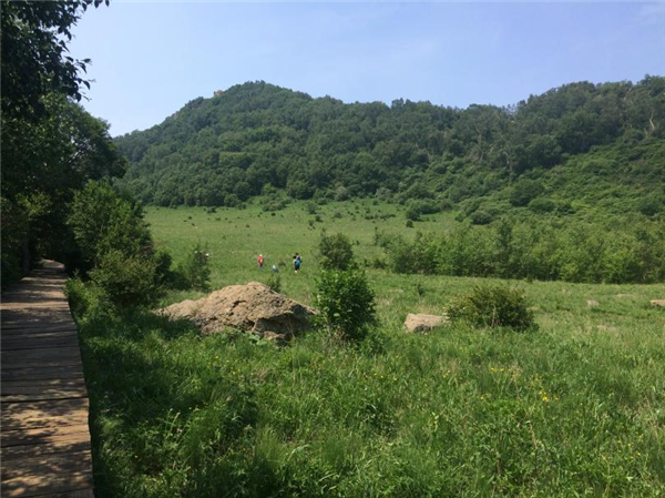 百花山草甸 图片来源:作者