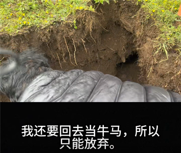 网友用AI生成