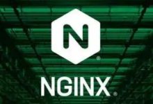在nginx日志的access log中记录post请求的参数值-紫竹林-程序员中文网