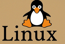 linux删除文件-紫竹林-程序员中文网