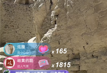 于东来直播西藏古格王朝景点 观看人数超10万-紫竹林-程序员中文网