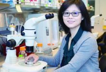 在科研赛道，跑出自己的节奏-紫竹林-程序员中文网