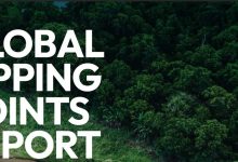 地球刚刚跨过首个气候临界点，一系列不可逆的生态崩溃正在发生-紫竹林-程序员中文网