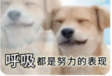 “低能量星人”原地集合:你不是懒 只是能量不足-紫竹林-程序员中文网