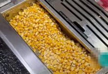 烤肉店用玉米粒当燃料 专家发声:很惋惜 我国粮食还处在紧平衡状态-紫竹林-程序员中文网