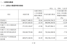影石创新三季度营收增超九成，全景无人机有望四季度发售-紫竹林-程序员中文网