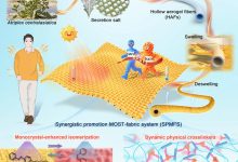 天津大学团队研发 MOST 太阳能热织物:光照 12 秒升温至 40℃-紫竹林-程序员中文网