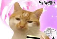 大厂掐起了免费会员 人人VIP的时代要来了-紫竹林-程序员中文网