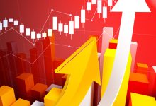 基金三季报披露拉开帷幕-紫竹林-程序员中文网