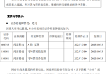 闻泰科技:2024 年营收 147 亿元的安世半导体被荷兰冻结,公司股票 13 日起复牌-紫竹林-程序员中文网