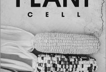 “根”本突破：分子钥匙解锁抗旱耐盐密码-紫竹林-程序员中文网