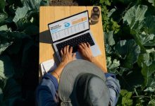 苹果悄然发布多款新品:更强的M5芯片,以及新Mac、iPad和Vision Pro-紫竹林-程序员中文网