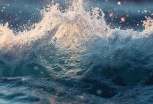 整个社会都在喊没钱了，但市场上依然涌现出一批消费冠军-紫竹林-程序员中文网