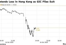 新加坡国资告了蔚来 是不是没活硬整啊！-紫竹林-程序员中文网