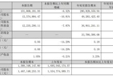 远方信息第三季度报告:营收利润短期承压,扣非净利微增彰显业务韧性-紫竹林-程序员中文网