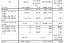 凤凰光学2025年第三季度业绩发布：核心业务驱动盈利改善 现金流表现稳健-紫竹林-程序员中文网