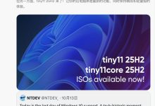 “精简版 Win11”tiny11 25H2 问世:取消强制绑定微软账户,削减臃肿内容-紫竹林-程序员中文网