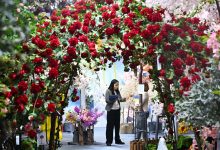 “含新量”“含智度”攀升 广交会展现中国制造竞争力-紫竹林-程序员中文网