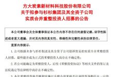 杉杉集团重整进程迎来最新进展 方大炭素入局成新投资方-紫竹林-程序员中文网