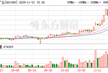 海南矿业：目前没有磷酸铁锂生产线-紫竹林-程序员中文网