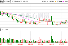 绿能慧充：公司充电桩产品主要应用在公交充电场站、公共快充场站以及特种车辆充电场站等充电场景-紫竹林-程序员中文网