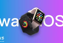 苹果 watchOS 26.2 开发者预览版 Beta 发布-紫竹林-程序员中文网