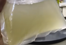 买50条观赏鱼收到1袋水 商家：烫熟分解了-紫竹林-程序员中文网