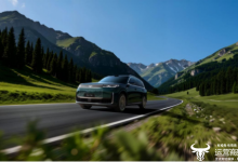 豪华无需高价！奇瑞风云T11以20万级价格重塑豪华SUV价值标杆-紫竹林-程序员中文网