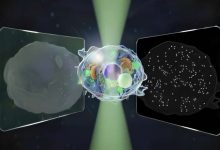 日本研究人员研发出新型显微镜，可同时观测微米和纳米级结构-紫竹林-程序员中文网