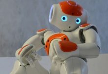 全脑智能时代来临，黑芝麻智能助推机器人向智能体进化-紫竹林-程序员中文网