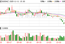 比亚迪：截至2025年10月份，公司新能源汽车动力电池及储能电池装机总量超230GWh-紫竹林-程序员中文网