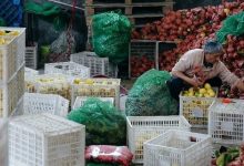 拼多多发布Q3财报:践行长期使命,迈向“Costco+Disney”的新十年-紫竹林-程序员中文网