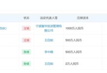 王自如回应为何欠债一个亿：不是赔掉的 是回购了投资人股份才负债的-紫竹林-程序员中文网