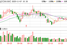 维峰电子：公司暂未直接向特斯拉供货-紫竹林-程序员中文网