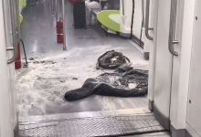 不止飞机,长沙坐地铁也要查充电宝 3C 认证标识-紫竹林-程序员中文网