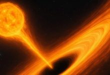 人类观测到史上最强黑洞爆发！亮度超太阳10万亿倍，恒星被瞬间吞噬-紫竹林-程序员中文网