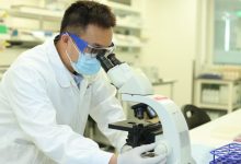 多维发力 沪市公司密集释放利好信号-紫竹林-程序员中文网