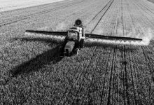 杀虫剂影响男性生殖健康-紫竹林-程序员中文网