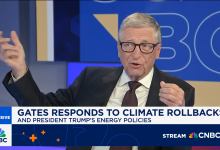 微软创始人比尔・盖茨：AI 行业正处于泡沫时期-紫竹林-程序员中文网