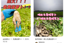 地里的菜免费“薅”?北京两人轻信网传“免费捡菜”被依法拘留-紫竹林-程序员中文网