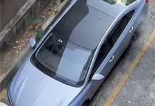 网友拍下飞凡ER6自燃全过程:从冒烟到爆燃仅30多秒-紫竹林-程序员中文网