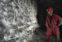 掉San预警！科学家发现巨型蜘蛛巢穴：黑暗中蛛网延绵106平-紫竹林-程序员中文网