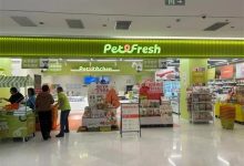 12月中旬将全部关闭！盒马创始人今年创立的派特鲜生“黄了”-紫竹林-程序员中文网