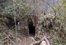 张家界荒野求生,一群想过得好一点的人-紫竹林-程序员中文网