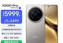 vivo X200 Pro 5G钛色旗舰钜惠-紫竹林-程序员中文网