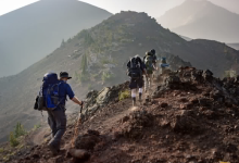 卖鞋的萨洛蒙起飞,但始祖鸟在今年双十一榜单中“隐身”,亚玛芬第三季度营收125亿元-紫竹林-程序员中文网