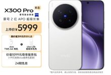 vivo X300 Pro 5G仅5448元-紫竹林-程序员中文网