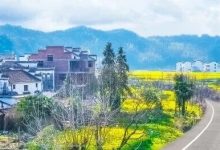 中国电信全方位赋能乡村消费升级-紫竹林-程序员中文网