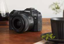 2025年最值得买的5款全画幅相机：佳能R8领衔，助你轻松入门不迷路-紫竹林-程序员中文网