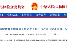 杨小伟被开除党籍、公职 曾任中国电信总经理-紫竹林-程序员中文网